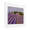 Stupell Industries Lavender Fields Farmland Framed Print Under Glass, design by Tim Coffey